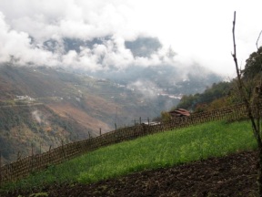 cultivated land, Bhutan
